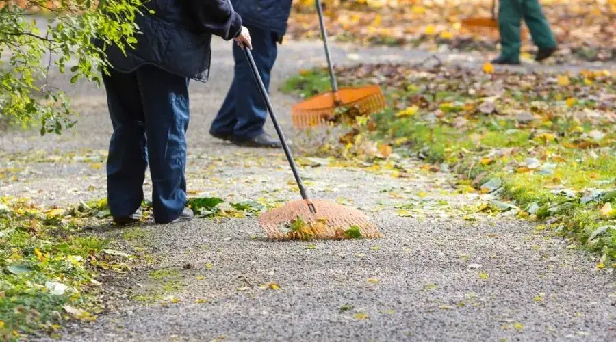 Community cleanup effort