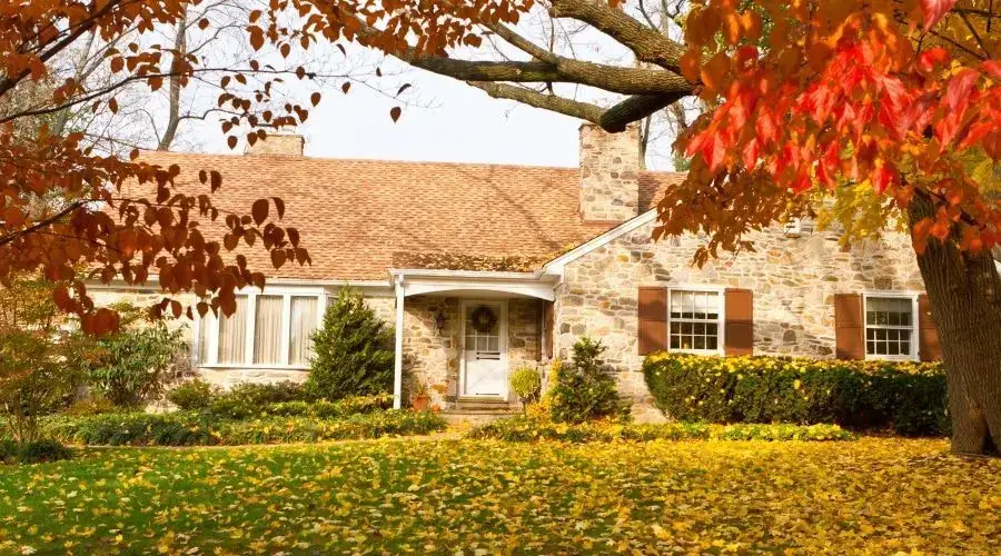 Dumpster for home remodeling