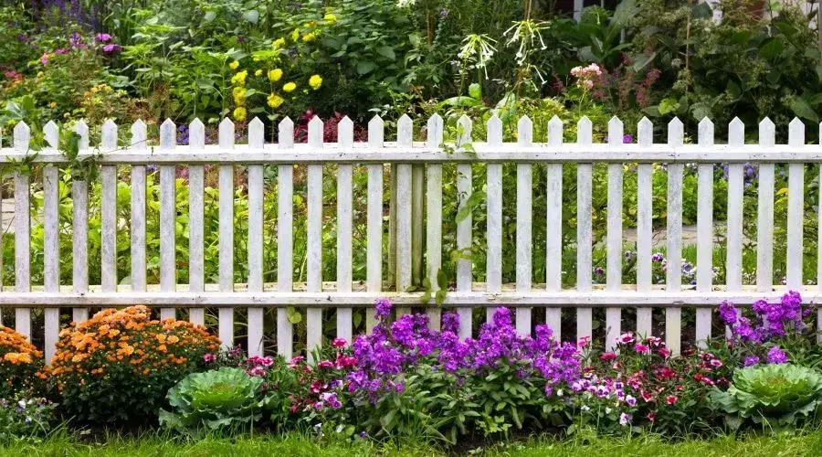 Dumpster rental for yard work