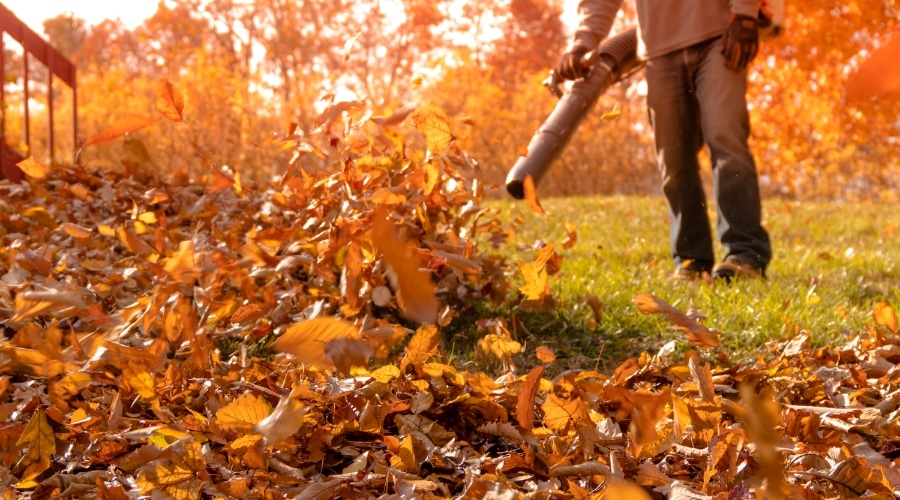 a man using a leaf blower to collect dead leaves in a yard