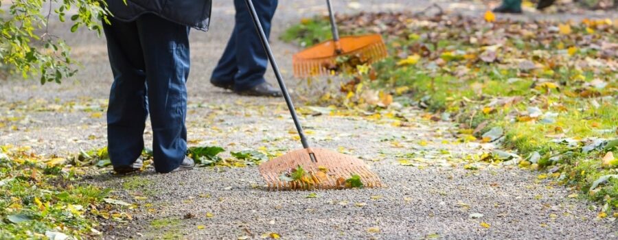 3 people use rakes to clean up a paved area